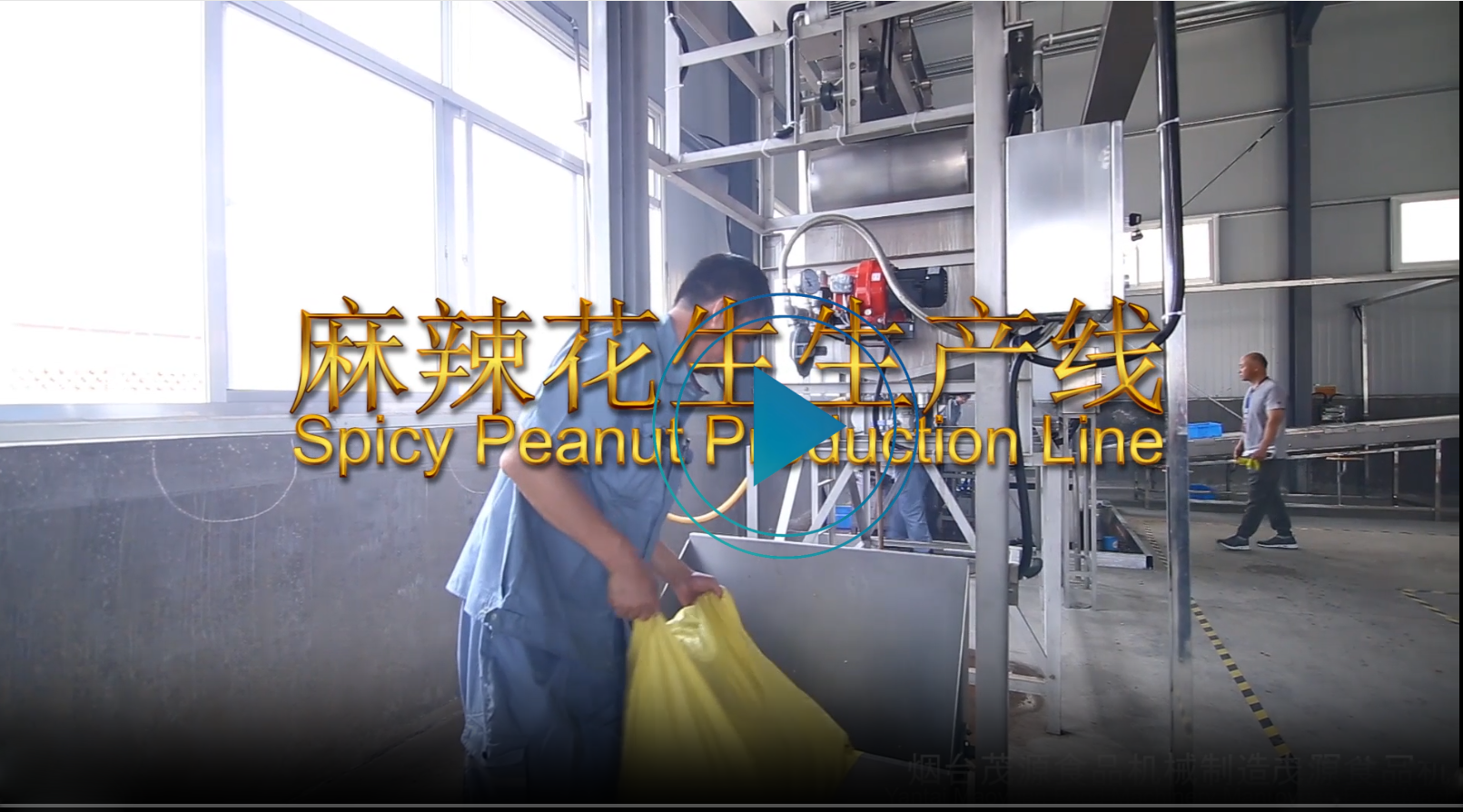 麻辣花生生產(chǎn)線